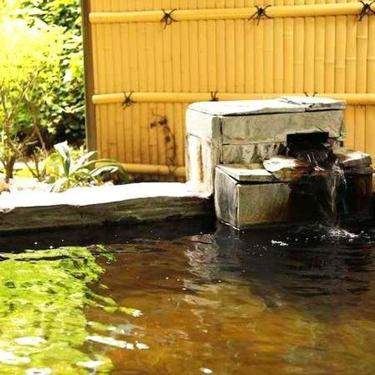 Gora Hotel Paipuno Kemuri Plus Hakone Bagian luar foto